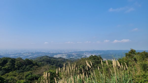 小百岳大棟山405m.青龍嶺.三角埔頂山.鳶山岩2059830