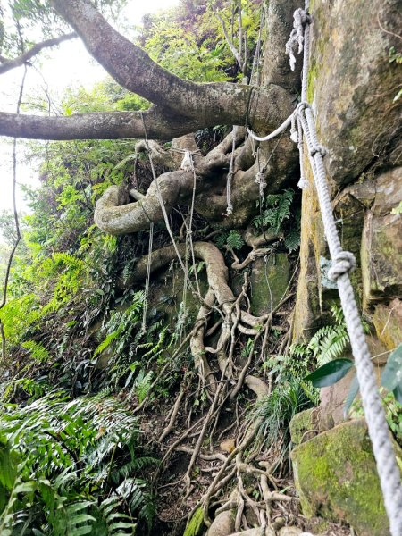 2025年臺北大縱走第六段：中華科技大學至捷運麟光站2755780