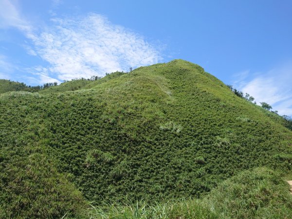 三角崙山（礁溪抹茶山）1006743