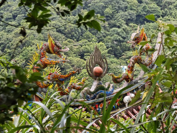 [微笑山線_第三段] 2026_0725 新北桃園登山步道_大湖之森步道3101669