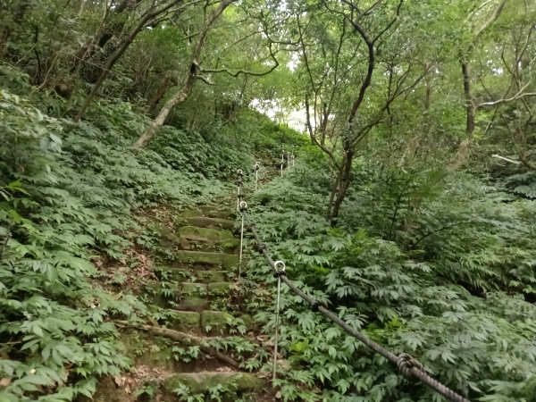 基隆市荖寮坑古道+十分古道(暖東舊道)+頂子寮山(嶺頭土地公)P字走