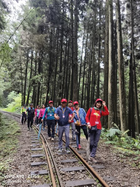 阿里山二萬坪鐵道輕鬆走2296405