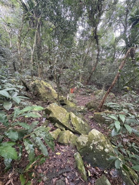 20251108白雲山步道2935203