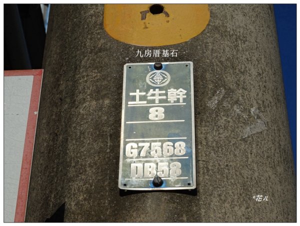 九房厝基石、落雨松(台中、石岡)1564149