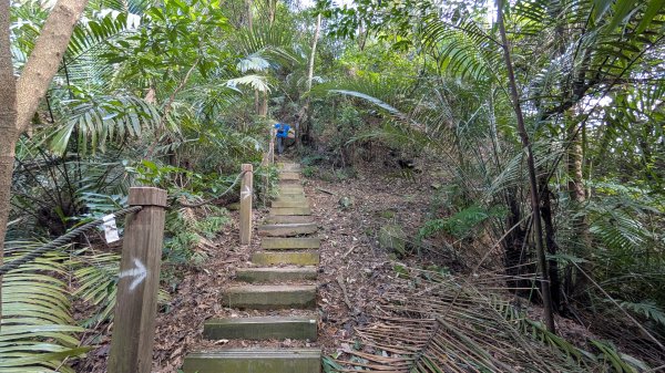 114.11.22鳶山彩碧-鳶山-鳶尾山之旅2943526