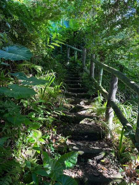 圓山水神社上劍潭山2263364