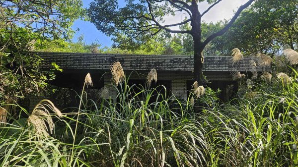 20251217麗水保甲路-麻斯廪水圳步道-大湖古道2964499