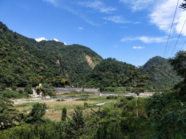 步道巡訪員 l 白毛山步道9月巡訪日誌1098995