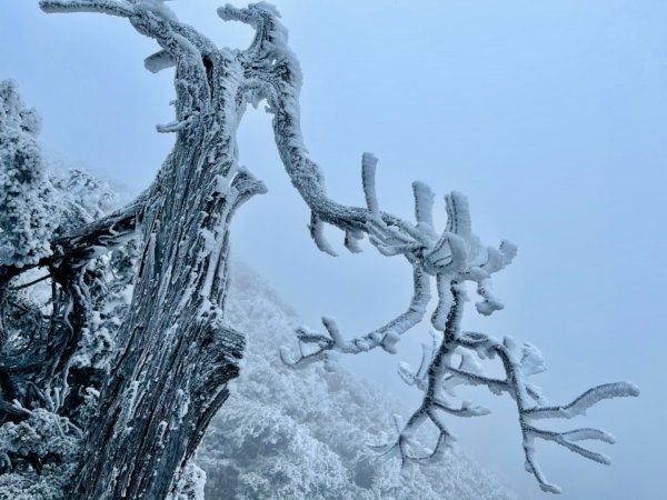 絕美銀白世界 玉山降下今年冬天「初雪」1236086