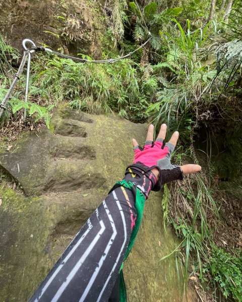 微笑山⛰️線-大棟-二格山-五分山-天上山-鳶山💎12條步道完成💙2836365