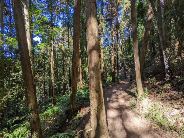 馬那邦山細道邦山1548143