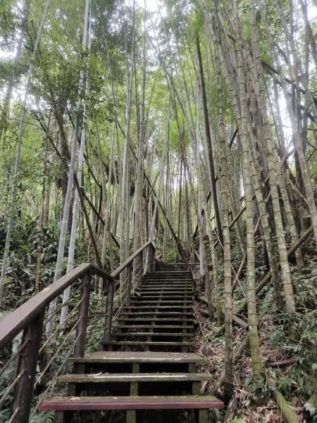 1140830迷糊步道3099571