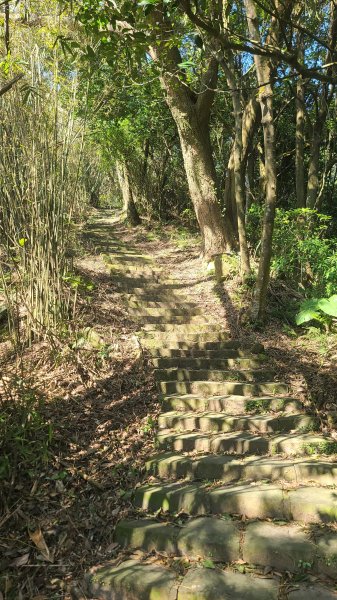 2025-0130溪和宮-大崎頭步道-鵝尾山-平溪步道-鵝尾山水田-42巷-溪山百年古圳-平菁步道2701854