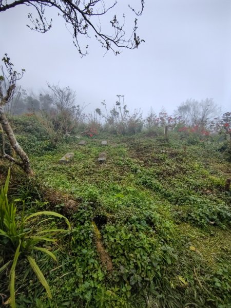 苗栗關刀山2975095