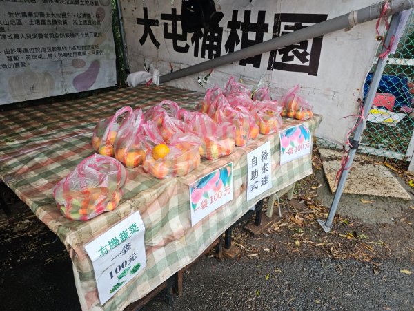 2025臺北大縱走第一段：關渡至二子坪2973528