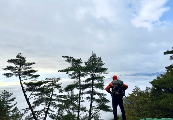 20250319～20嘉明湖國家步道🥶🥶🥶殘念😭2739786