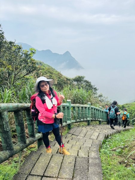 無耳茶壺山 看風景3026668