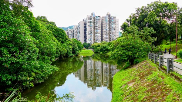 後山埤公園3082280