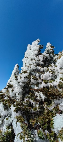 2024雪季攀登（玉山主峰/玉山西峰）2410965