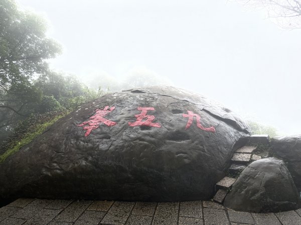 九五峰1874808