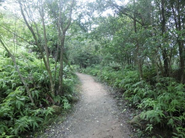 碧溪步道．翠山步道192021