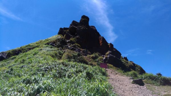 揮汗濕滿衫!喜登茶壺山146936