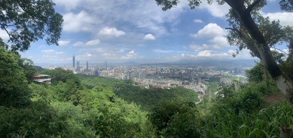 虎豹獅-南港山-中華科大2248274