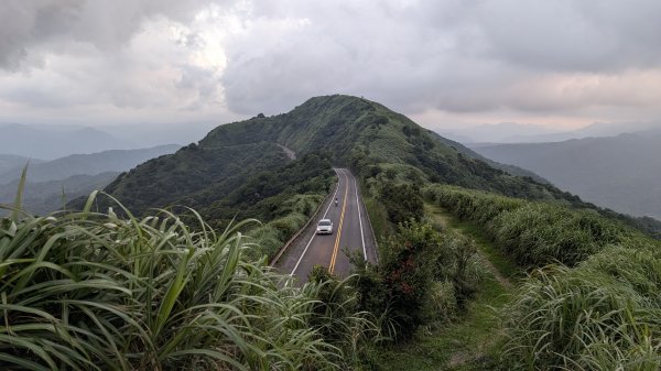 115.05.31燦光寮古道-草山-不厭亭之旅