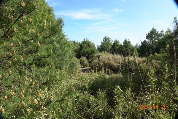 南投 仁愛 武法奈尾山2133792