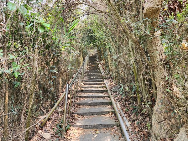 小百岳No.74⛰大崗山3025121