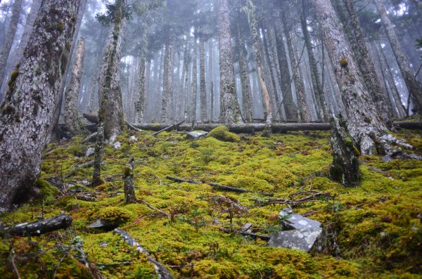 10911中旬雪山主東一日紀行。1169441