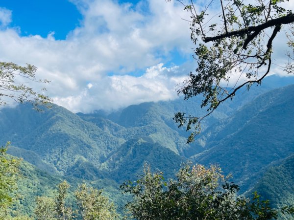 1140824司馬庫斯觀霸步道-賞楓步道2871106
