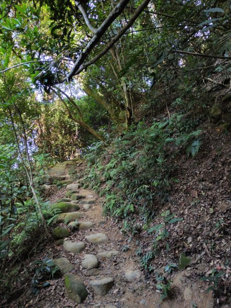 2023.11.01 蓮華山古道群2489007