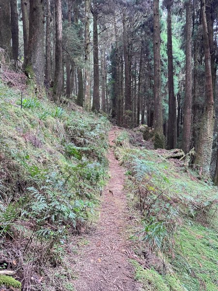 兒玉山連走東水山O型輕鬆走2456899