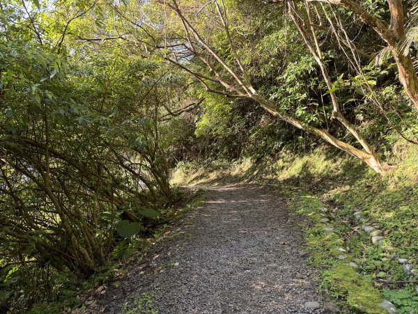 [淡蘭古道] 2026_0315 南路第二段_外按古道3016424