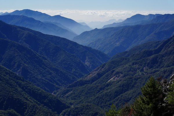 南投 信義 玉山西峰2380754