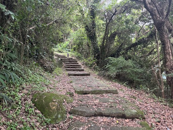 [走遍陽明山]2023_0625_中正山步道2207569