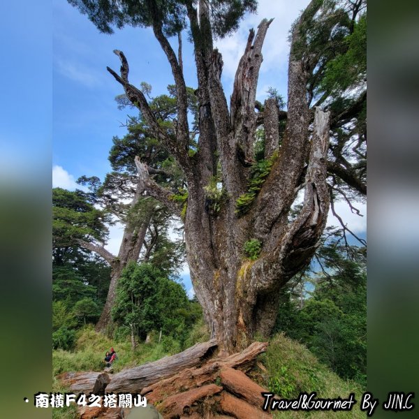 【20220917南橫一日雙星關山嶺山＆塔關山】2038248