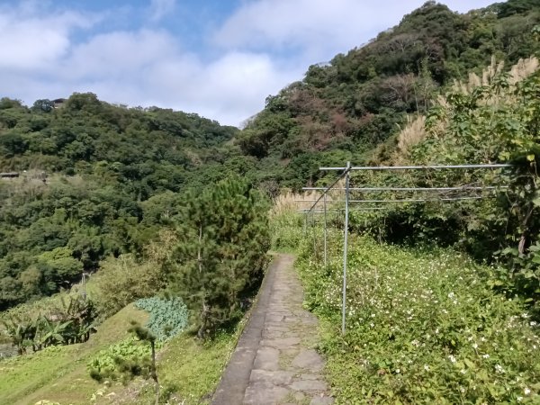 士林區礁坑橋+平溪步道+鵝尾山水田步道+大坪尾山+平菁步道O型2995893