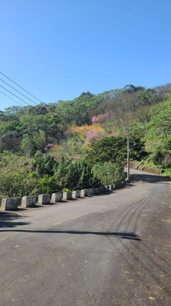 2025-0130溪和宮-大崎頭步道-鵝尾山-平溪步道-鵝尾山水田-42巷-溪山百年古圳-平菁步道2701915