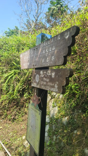 2025-0310臺北大縱走第七段2737285