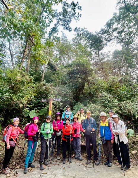 荷苞山登山步道走荷芭山小溪子山 午餐吃塔可飯幸福耶2996070