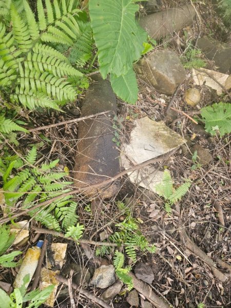 20250105隆盛山-煤渣山-雙溪口山主東峰-排寮尖-十八重溪山2683204