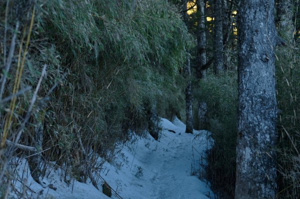 踏入冰雪聖殿-冬季大霸群峰2422944