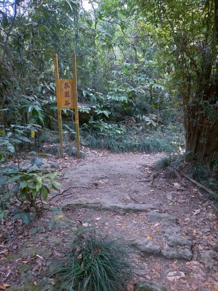 北柴山秘境之旅2754374