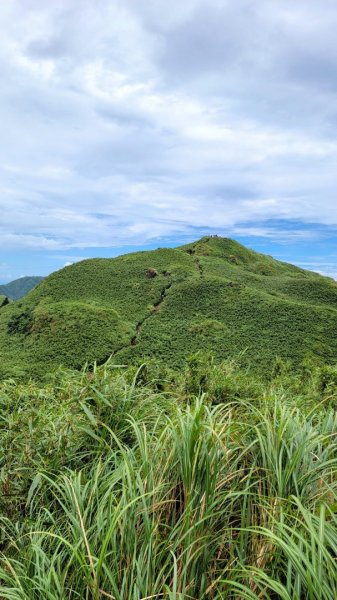 爬七星山做行前訓練1784708