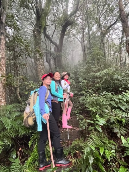 烏來大桶山.大桶山東峰.四崁水山2450704