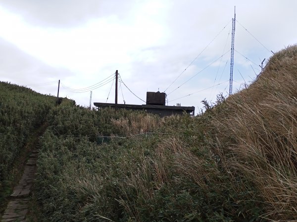 【臺北大縱走 2】鞍部→大屯群峰→清天宮1276306