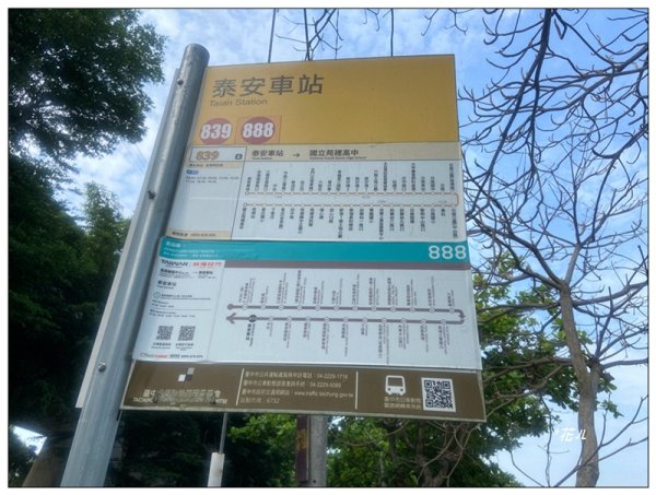 火炎山 相思花開 (季節限定) 三義3052252