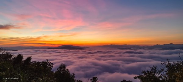 #石碇後山 #霞光 #日出 #雲海 #火燒雲 #魔目裳蛾 7/1&33080445